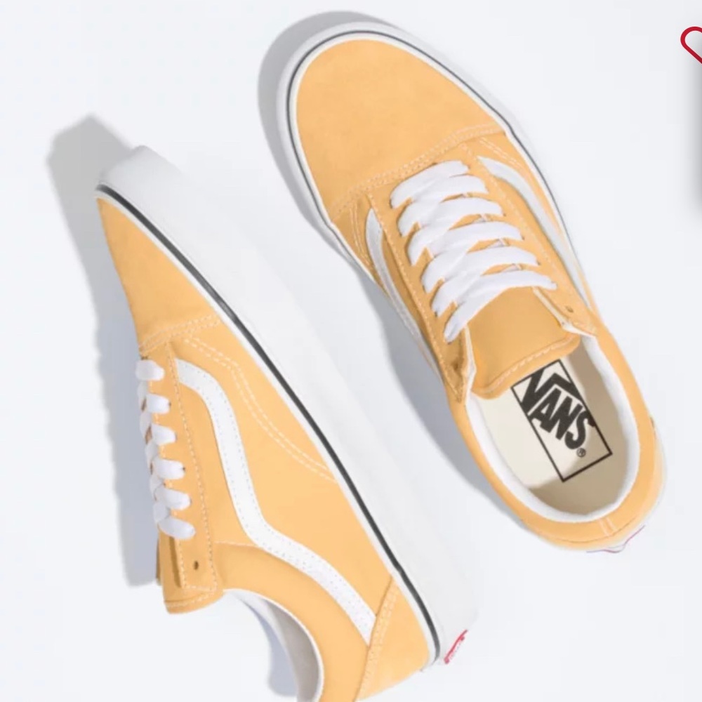 Vans Old Skool Shoes